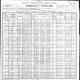 Census - 1900 - Owenton, KY - George S. Low