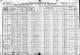 Census - 1920 - New Liberty, KY - Elizabeth Griffith Rigg